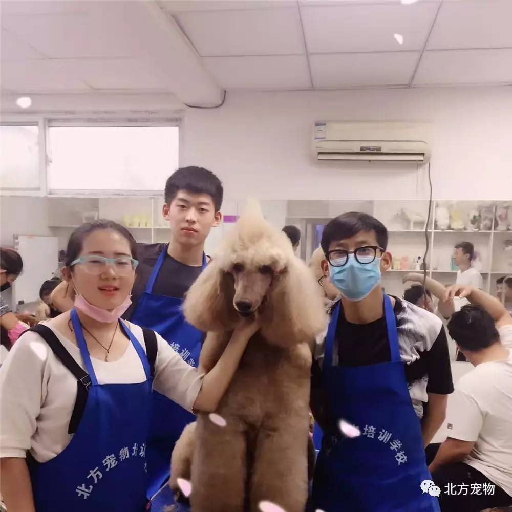 日韩在线视频观看免费网站