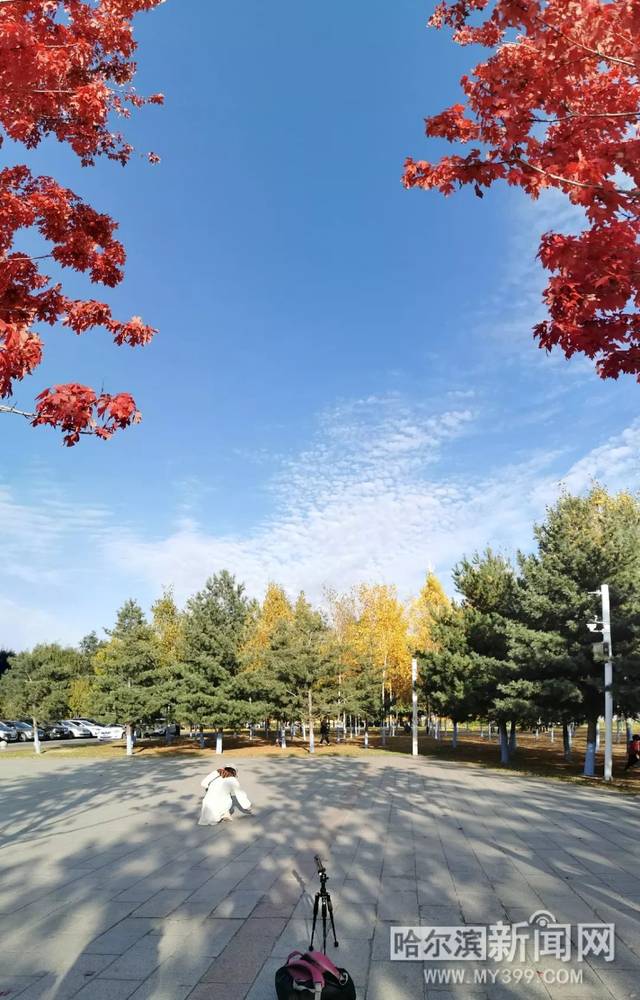 草莓丝瓜芭乐鸭脖奶茶