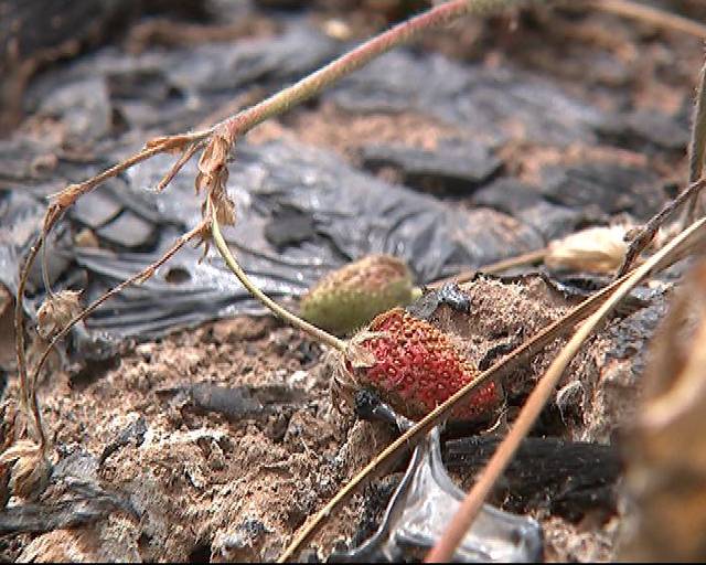 懒懒睡不醒 无需佩戴即可实现精准监测