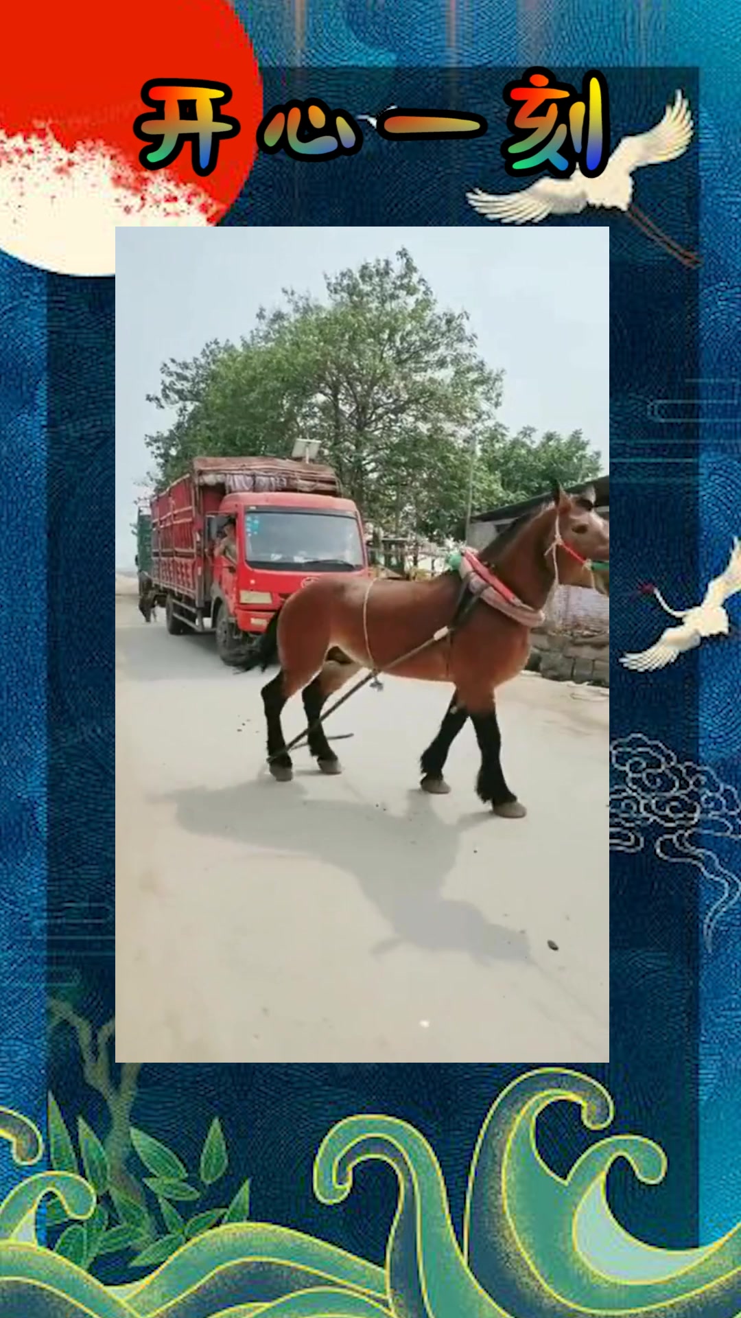 幸福宝APP在线官网入口IOS