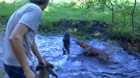 黑料网曝门官网 不传播违法和不良信息