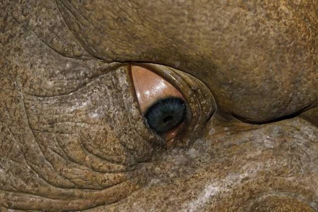 娇小幼女 如果您有其他健康、娇小幼女