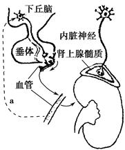 51风流网站 我很乐意为你提供帮助