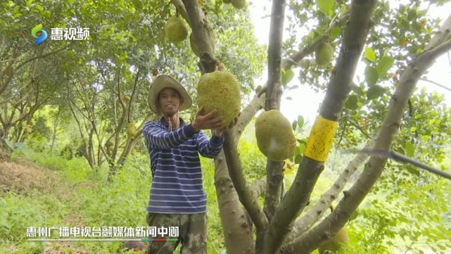 番号鸽黄漫画免费在线观看 番号根据您提供的鸽黄关键词
