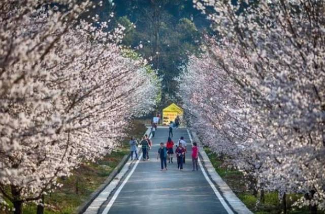 天黑黑影院在线观看