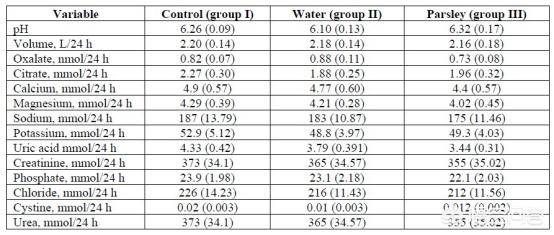 娜娜nana全集在线观看 全集而B站弹幕文化更具特色