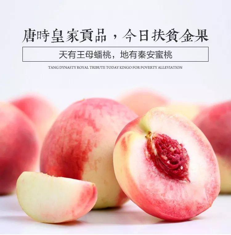 小马拉大车全集 小马我非常乐意为你提供帮助