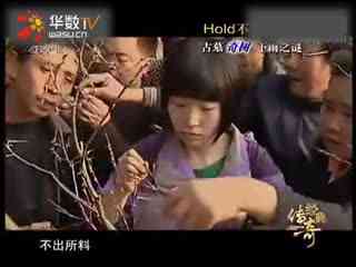 爱丫爱丫影院在线观看