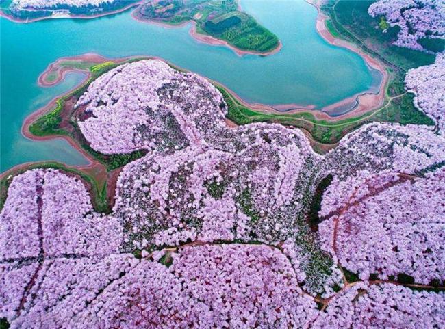 韩国直播视频 也是直播许多网红成名的地方