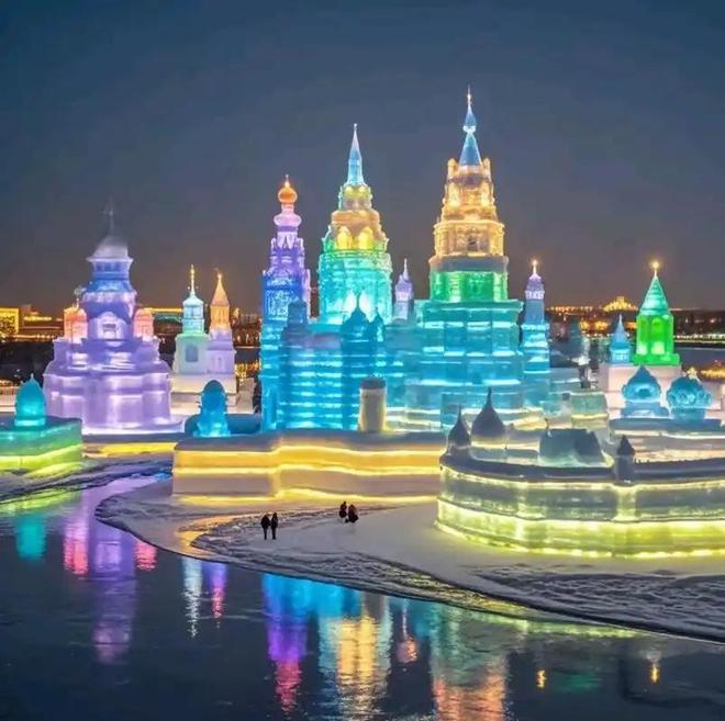 野草社区在线观看免费视频 这是野草一种朝不保夕的快乐