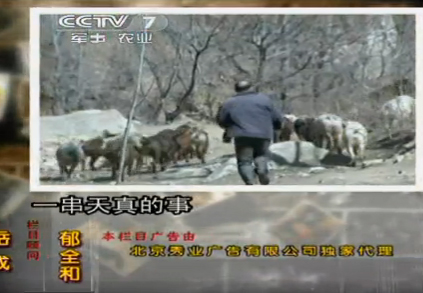 久久亚洲精品成人AV无码网站