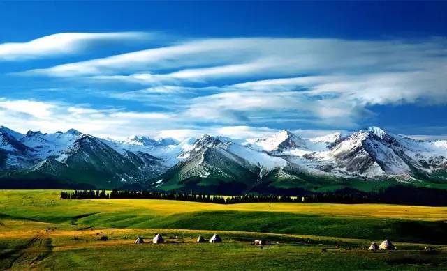 51黑料吃瓜热门吃瓜 界面设计和交互逻辑相对简单