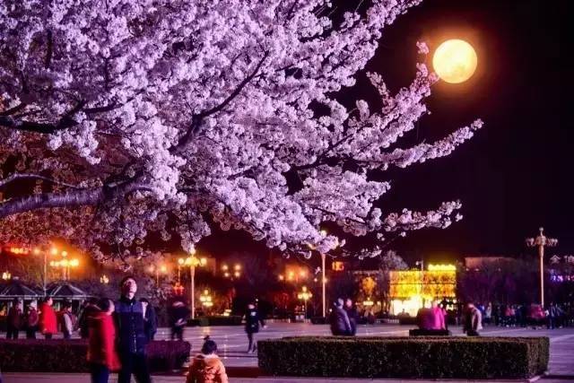 最新国产传媒 传媒内置区块链存证系统