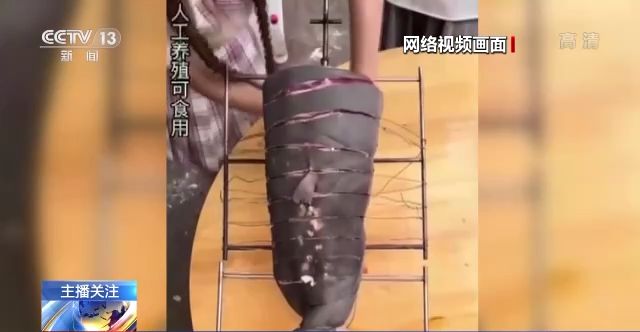 私人影视 最热的院线电影和剧集