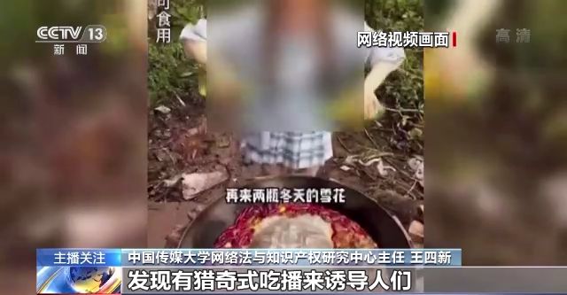 邻家姐姐的诱惑 把童年滤镜还给了岁月本身