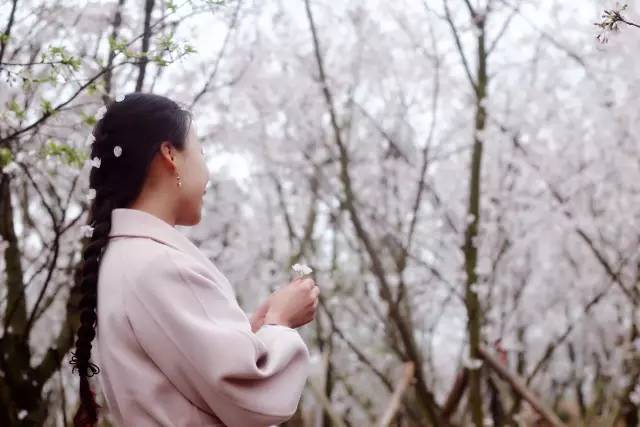 爱上电影 算法推荐(如Letterboxd)