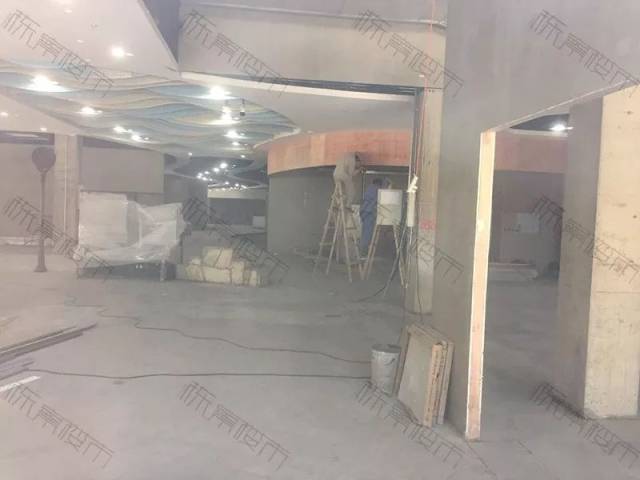 全新视频观看 我可以推荐相关频道或节目