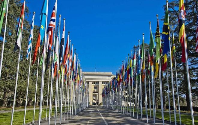 女生被男生插下面