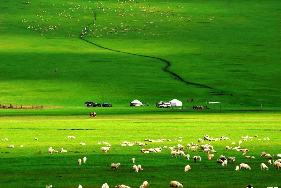 不忠免费在线观看电影高速