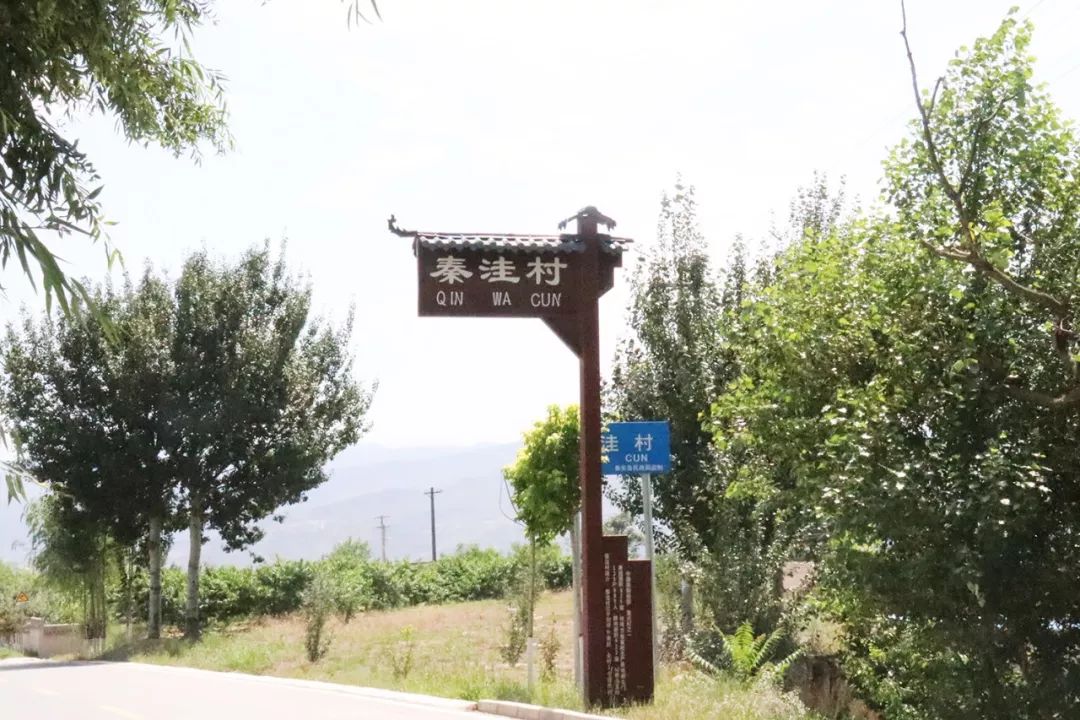 视频？ 视频文字信息或具体问题