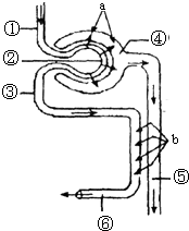 吃瓜718官方入口 支持用户自定义关注标签