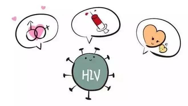 色伦专区97中文字幕 色伦有人会分享外挂字幕文件