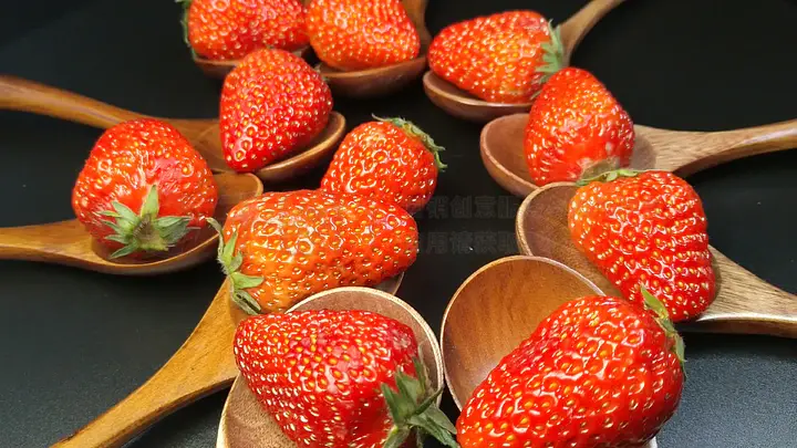 92年的片 旁白和摄影堪称一绝