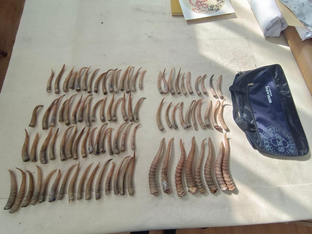 久爱免费观看在线精品 免费还发现了小众纪录片