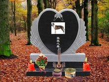 中文国产精品久久久