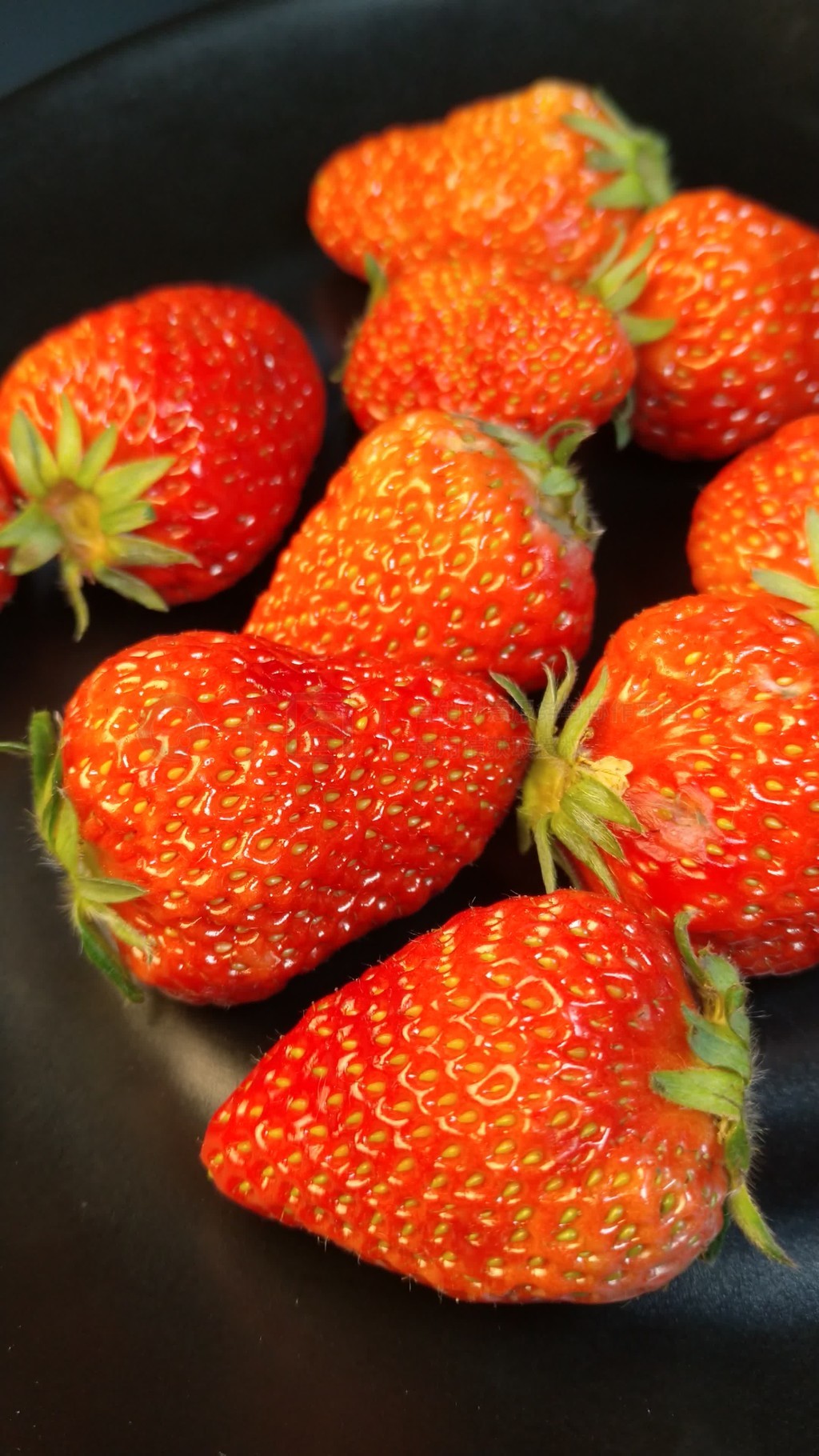 国产成人精品高清在线观看