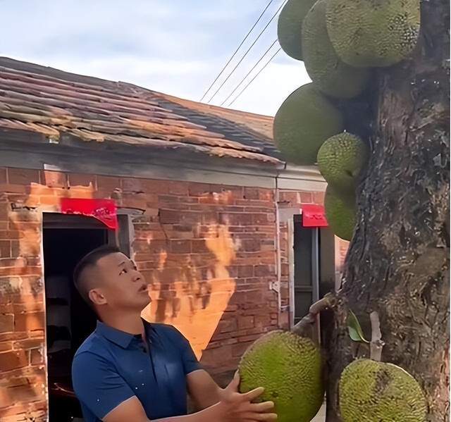 伊人网中文影院