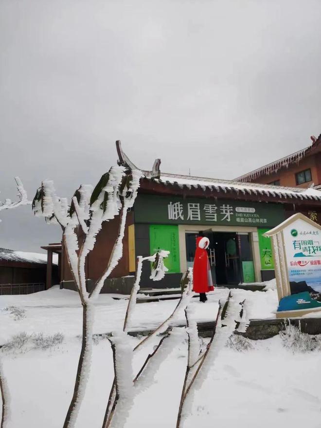 吃瓜速递黑料不打烊 娱乐资讯平台层出不穷