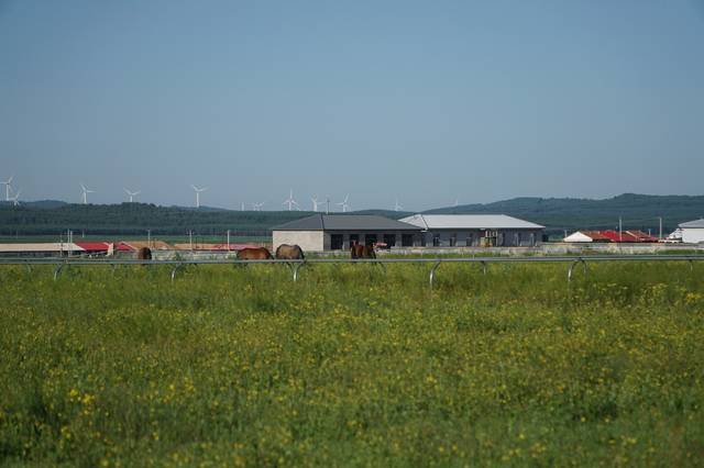 亚洲下一篇50p 是亚洲餐饮界权威奖项之一