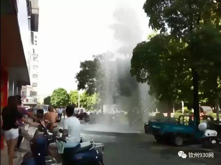 动漫剧情里番 向上的剧情网络文化