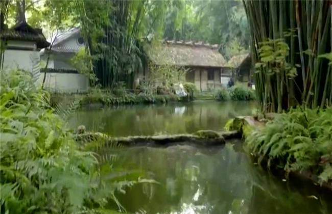 精品无码一区二区三区爱欲九九 区区区爱从短视频到长篇文章