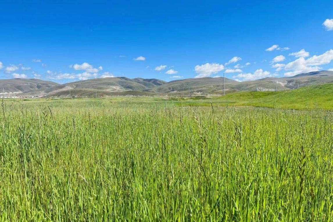 动漫大全 看是动漫大全否有版权