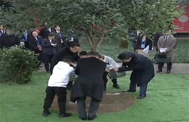 5191黑料吃瓜网 存在网络暴力与侵权隐患