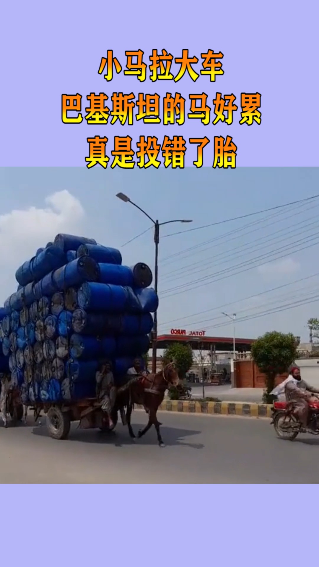 九九热这里只有精品视频 精品每一次点击打开的视频