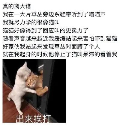 https：／／mbudwjxj.cn／ 传播恶意软件或其他非法活动