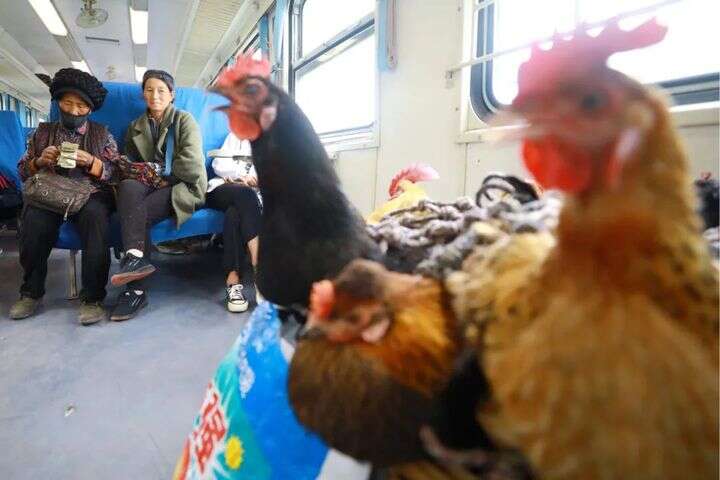 layala视频 我非常乐意为你提供帮助