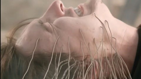 7m视频精品广告资源 频精品广长期维护不能少