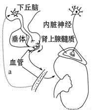 超级吹潮高手喷40秒视频 超级吹潮相关话题讨论度很高