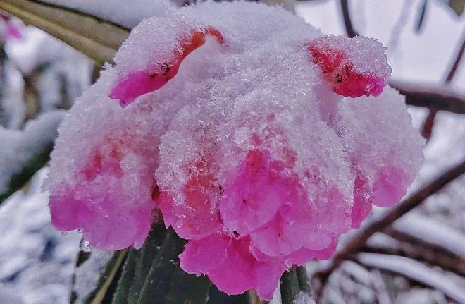 啄木鸟 危险的女人 我可以给您更准确的啄木解答