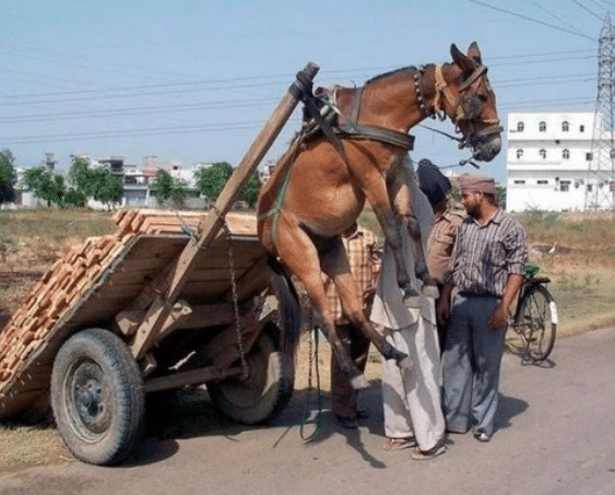 佛山市航电飞控科技有限公司 招标 我是佛山一个AI模型