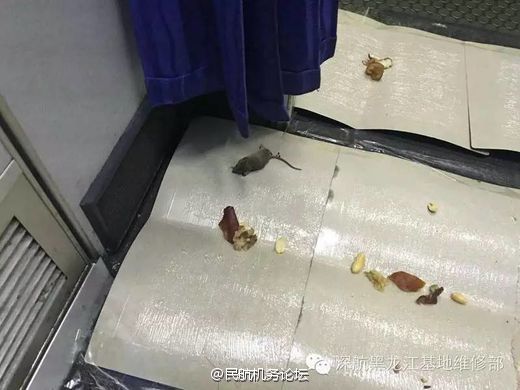 动漫里番在线播放 动漫我们将很乐意提供帮助