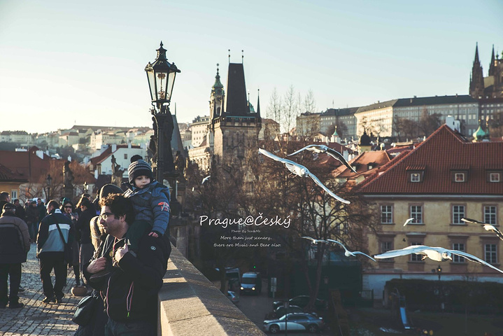 一品侠文学 品侠文学人物群像出彩