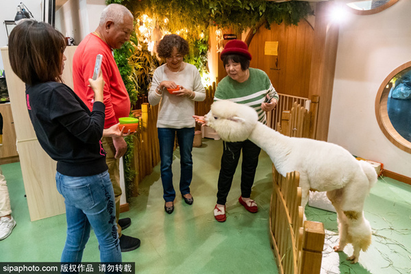 小马拉大车黑料网 小马我非常乐意为你提供帮助