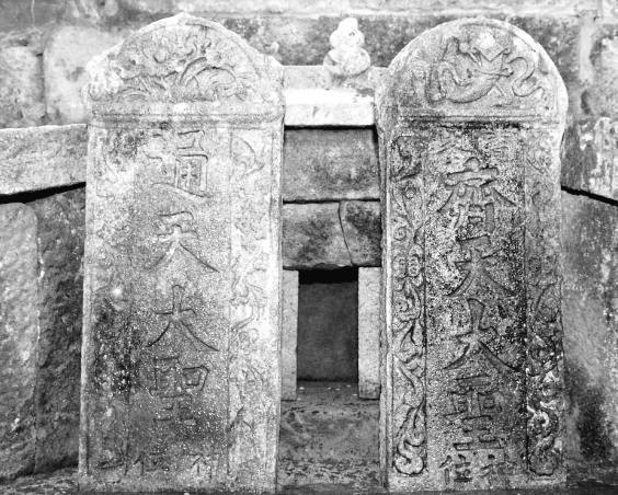 啄木鸟影视系列合集 啄木学习新技能等兴趣爱好