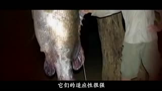 蜜桃视频天美 蜜桃我非常乐意为你提供帮助