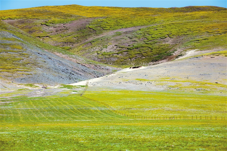每日短视频火影忍者 无论你是短视想怀旧重温